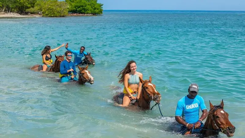 ATV, horseback ride, zipline and catamaran