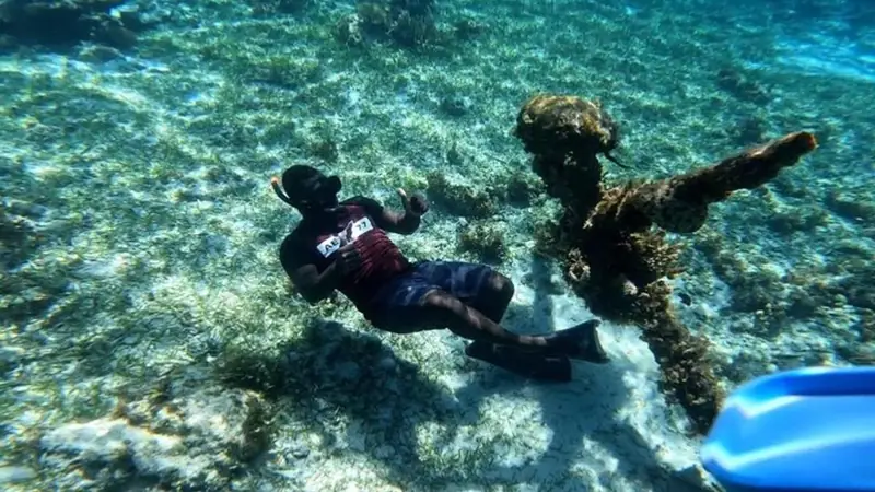 Glass-bottom boat, snorkelling and Booby Cay