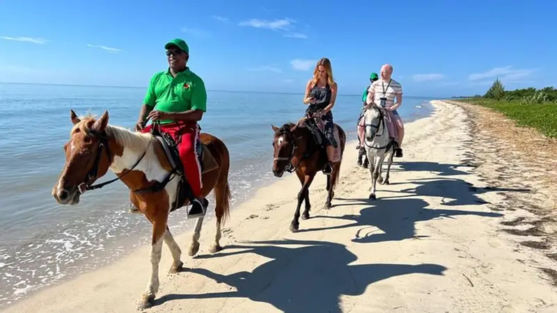 Horseback ride on the beach with a swim in the sea