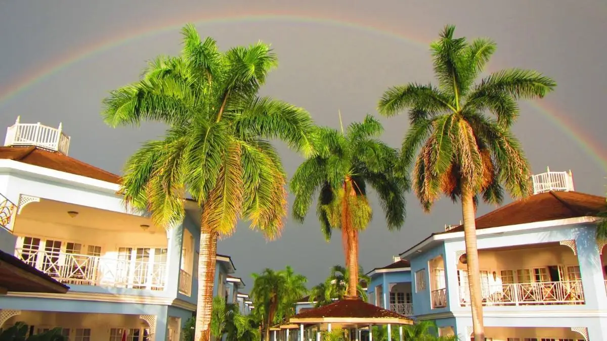 The gardens of Beachcomber Club Resort, with palm trees and the white-balconied buildings